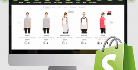 Shopify Application Development Shopify Application Development